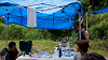 camp29 (416)_thumb.png